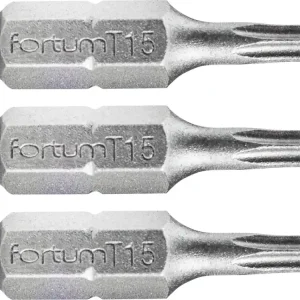 Pouze Dnes hrot TORX, sada 3ks, T 15x25mm, S2