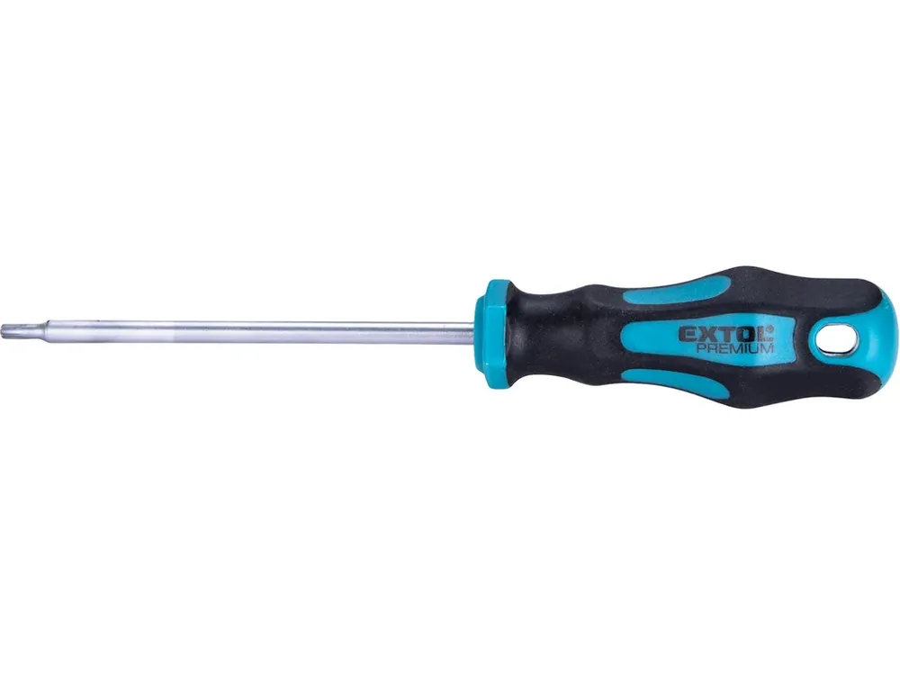 Cenový Hit šroubovák TORX, TTa15x100mm, CrV