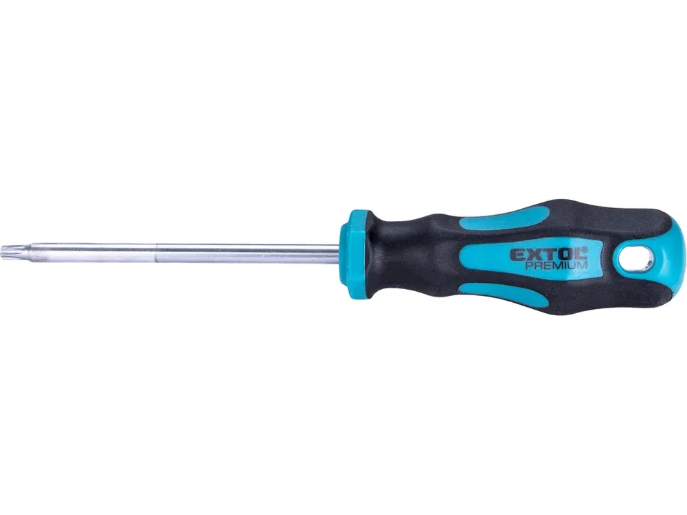 šroubovák TORX, TTa25x100mm, CrV Originální
