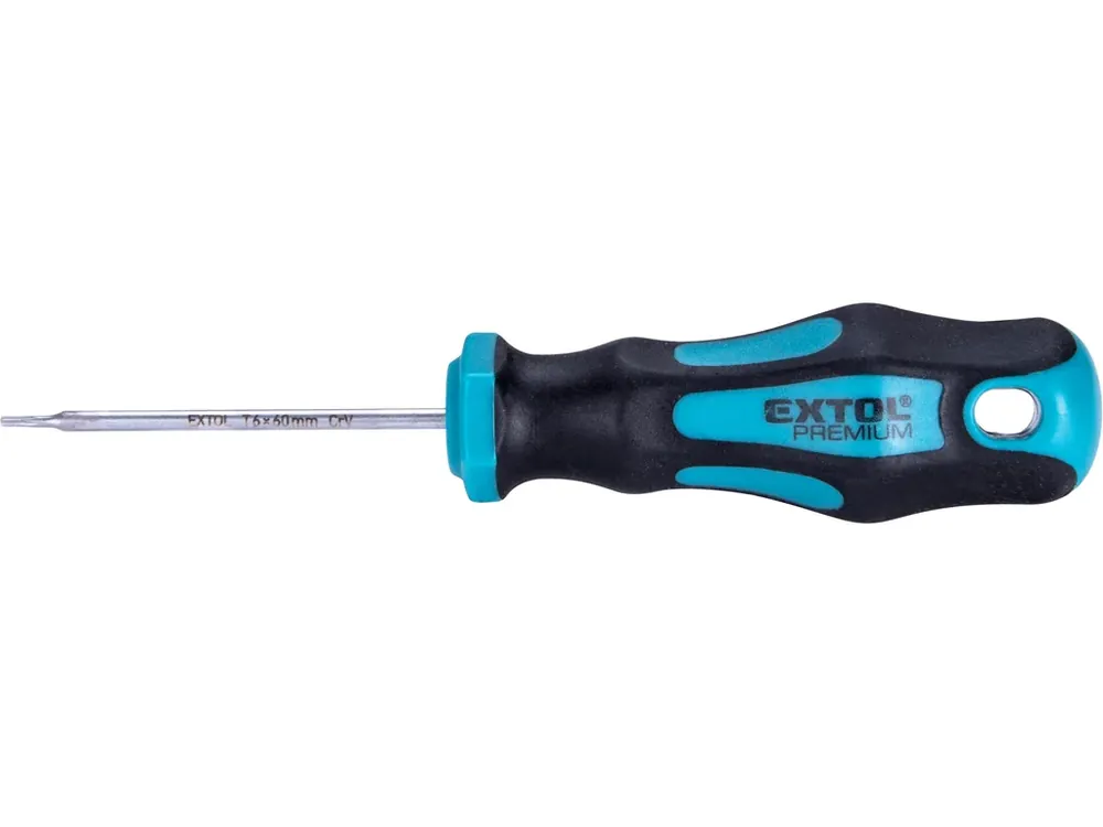 šroubovák TORX, TTa30x100mm, CrV Pouze Dnes