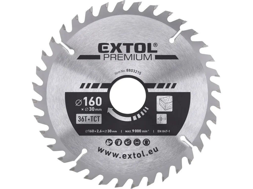 Akční Cena kotouč pilový s SK plátky, O 160x2,6x30mm, 36T