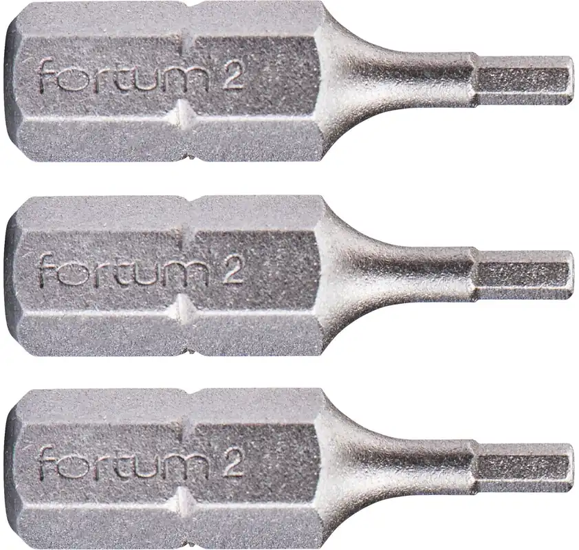 Přímo Od Výrobce Hrot imbus sada 3ks, H 2x25mm, S2 FORTUM