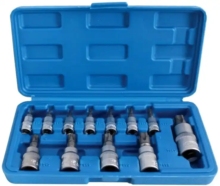 Dokud Zásoby Vydrží Zástrčné hlavice TORX-TS s otvorem 1/4", 3/8" a 1/2", TS8-TS60, sada 12 ks - SATRA S-H125TP